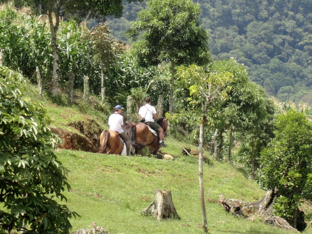 Sitio Colina Rio do Sul Exterior photo
